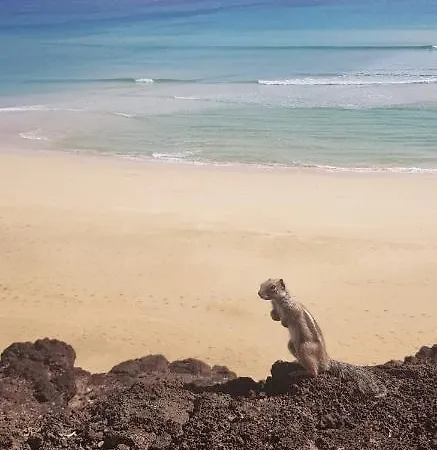 Casa Arida, Apartament *