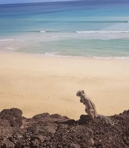 Casa Arida, Apartment *